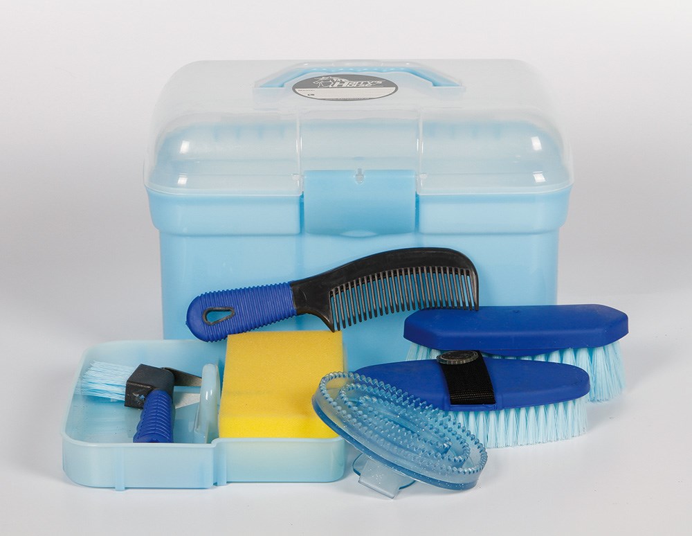 Grooming box with brush