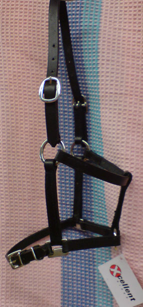 Leather foalhalter