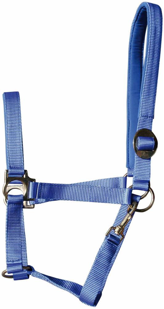 Padded nylon halter Headcollar