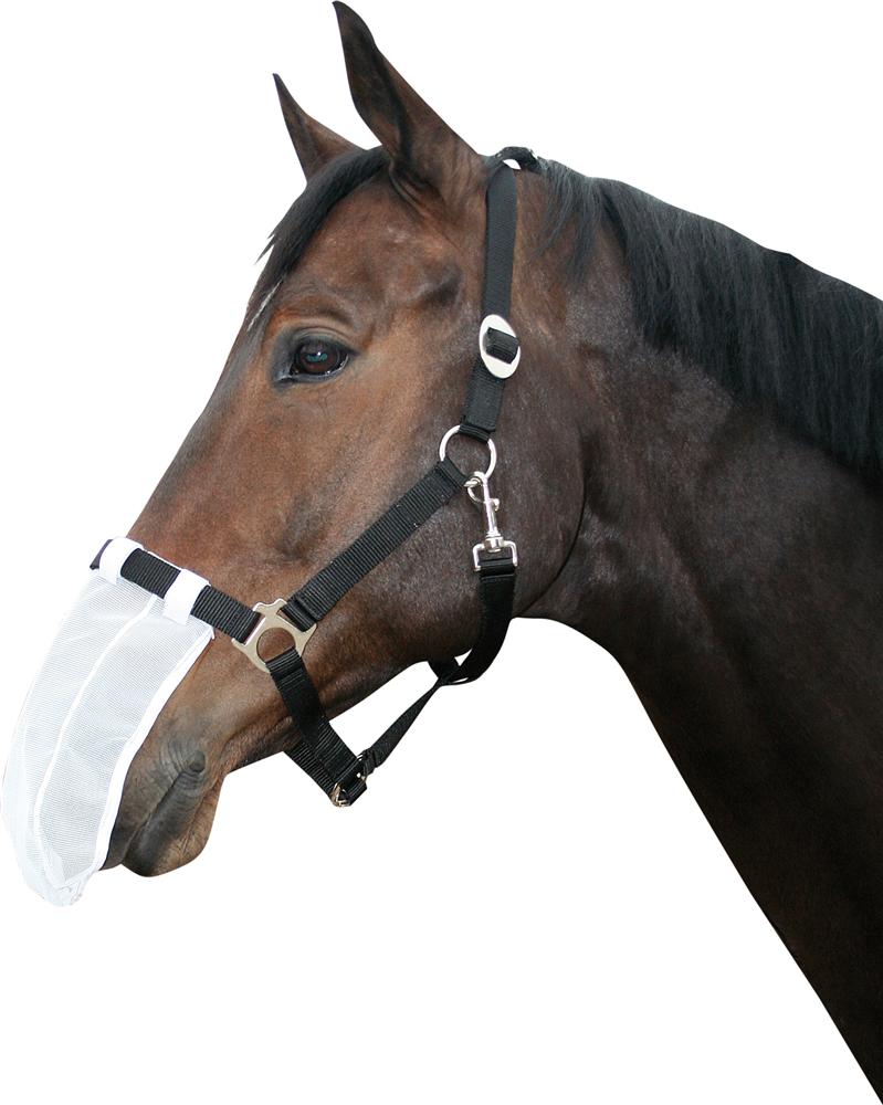 Fly nose protector - Click Image to Close