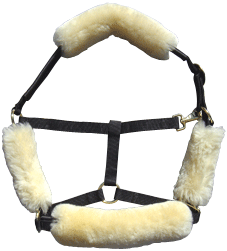 Headcollar set Merino - Click Image to Close