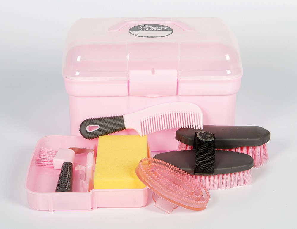 Grooming box with brush - Click Image to Close
