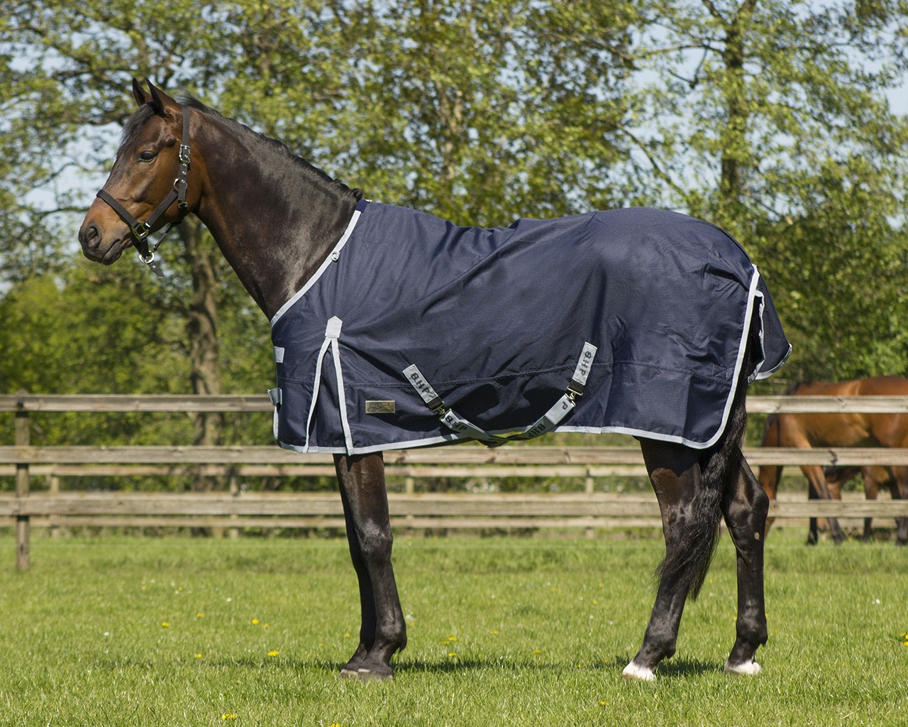 Waterproof, breathable, 300 gram 600D horserug