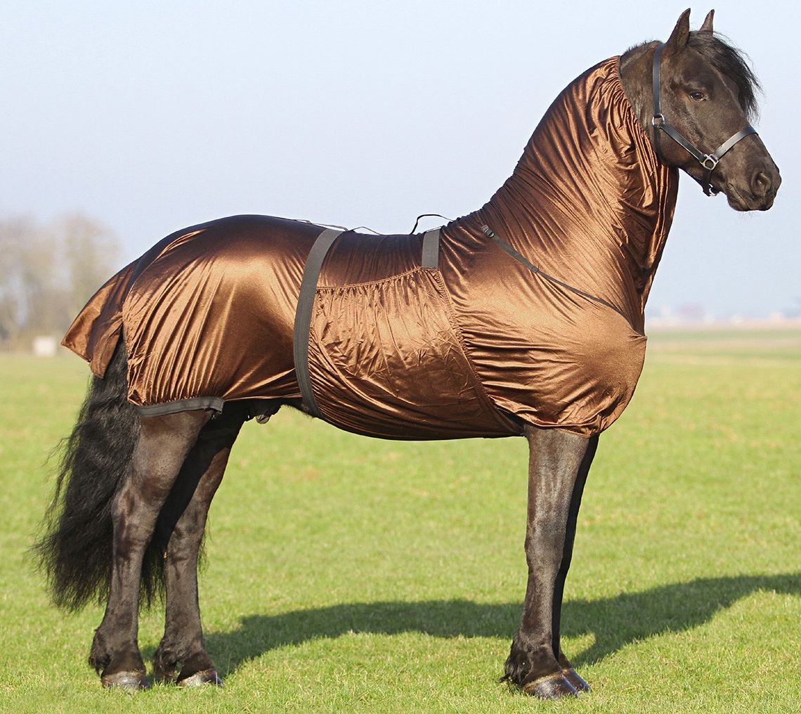 Eczemarug Frisian, haflinger, fjord