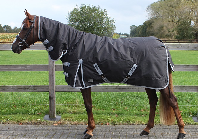 Scarp George Stevenson Weiland Waterdichte deken 300 grams met vaste hals [6099 qhp] - €99,99 : Xcellent  Rider, Online ruitersport winkel