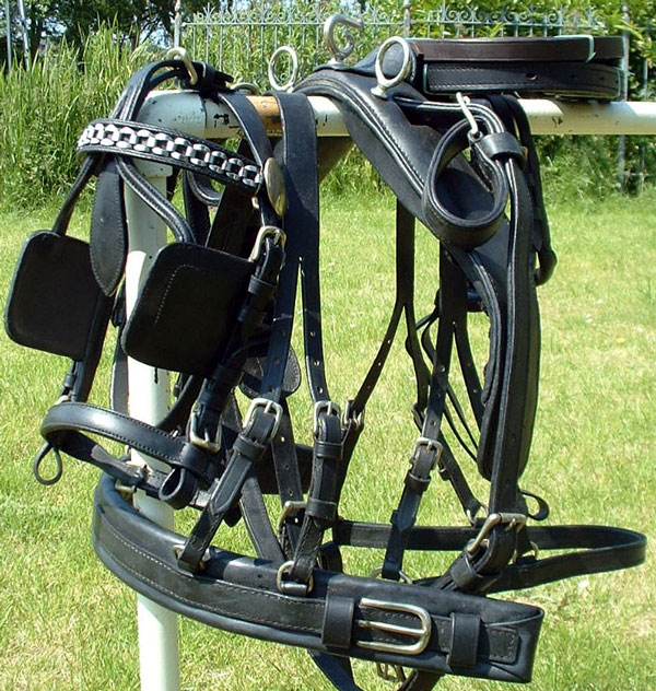 olie voetstuk rijk enkelspantuig economic maat paard en cob - €195,00 : Xcellent Rider, Online  ruitersport winkel