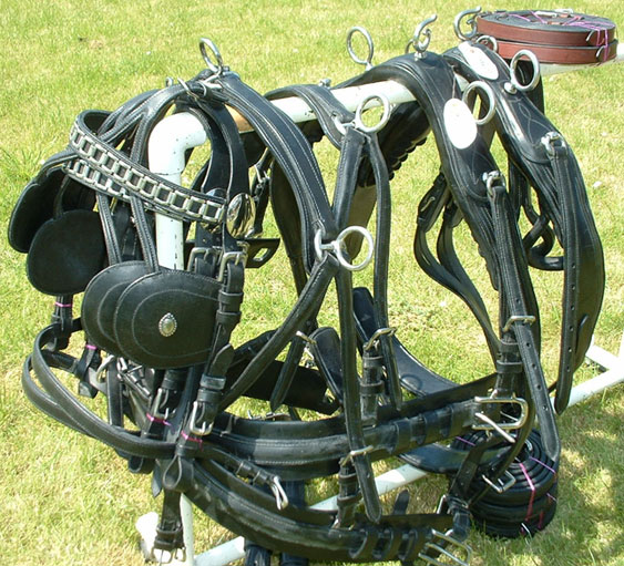 doubleharness