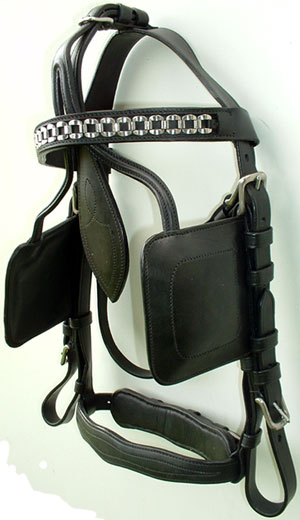 Harness bridle - Click Image to Close