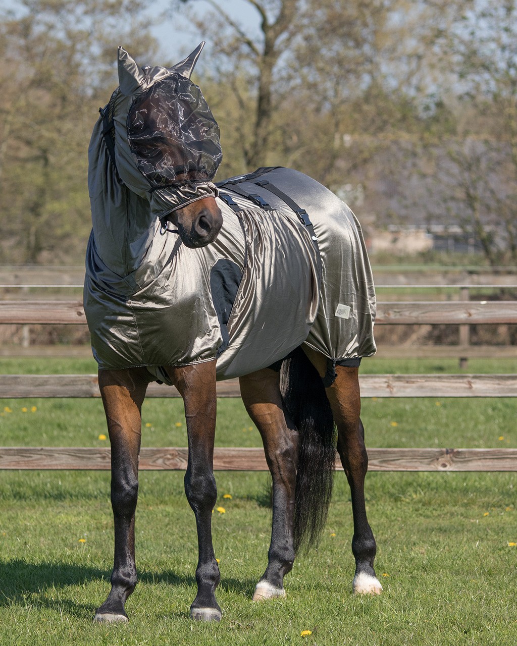 Ekzemdecke comfort qhp - zum Schließen ins Bild klicken