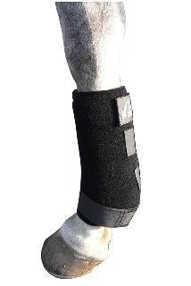 Neoprene Horse Boots - Click Image to Close