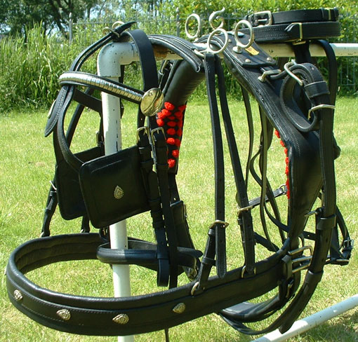 Breastplate harness