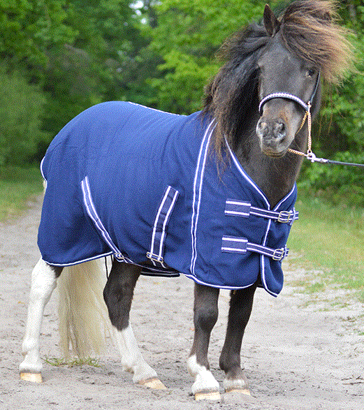 Falabella Minishet Fleecedecke - zum Schließen ins Bild klicken