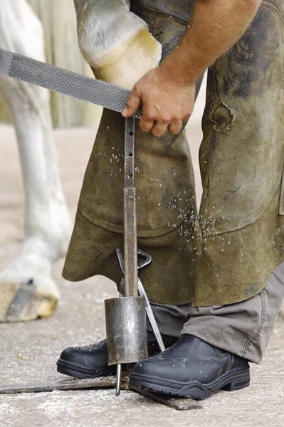 Mountain Horse Protective Jodhpur steel toe - Click Image to Close