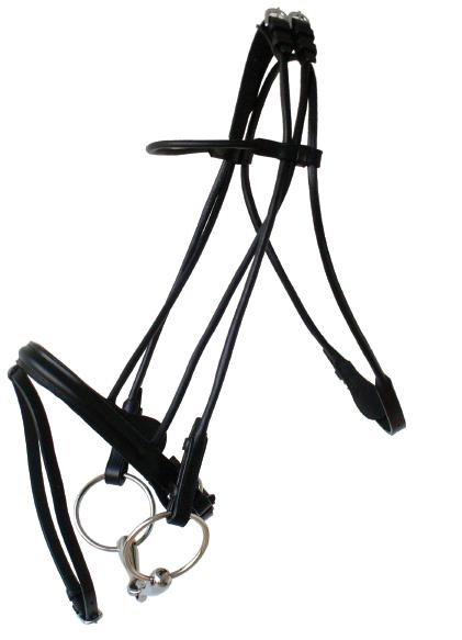 Roundbridle