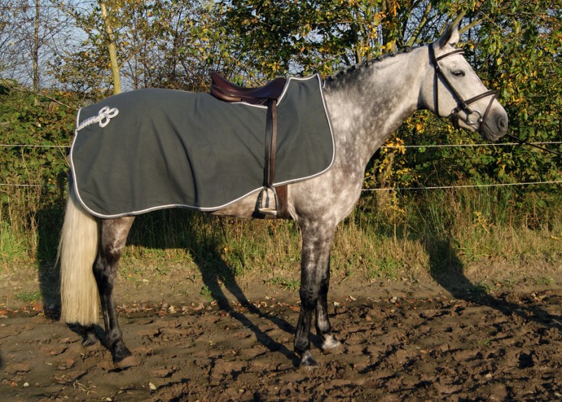 Oven tempel vloot Uitrijdeken fleece - €29,95 : Xcellent Rider, Online ruitersport winkel