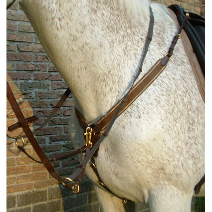 Breastplate & martingale like model prestige