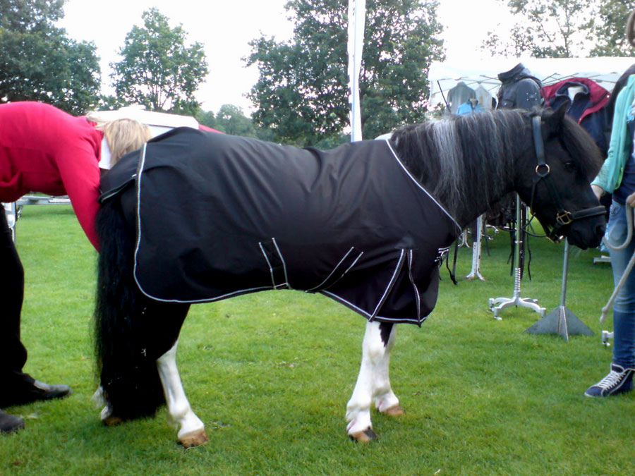 Pony Outdoordeken 300 grams zwart