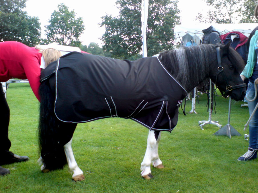 Wasserdichte decke mit fleece fütterung shetland